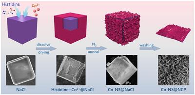 Coupling Hierarchical Ultrathin Co Nanosheets With N-Doped Carbon Plate as High-Efficiency Oxygen Evolution Electrocatalysts